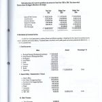 Annual Budget078