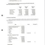 Annual Budget081